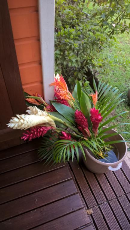 Cap Martinique Villa Sainte-Anne Eksteriør billede